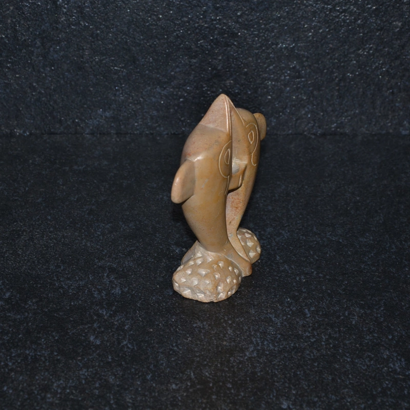 Bacio delfini