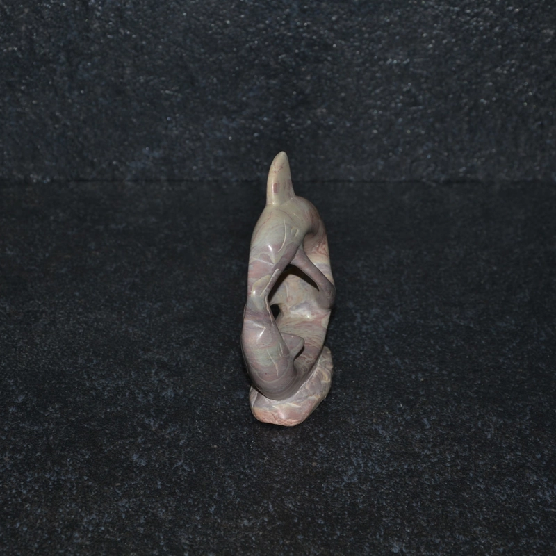 Cerchio delfini