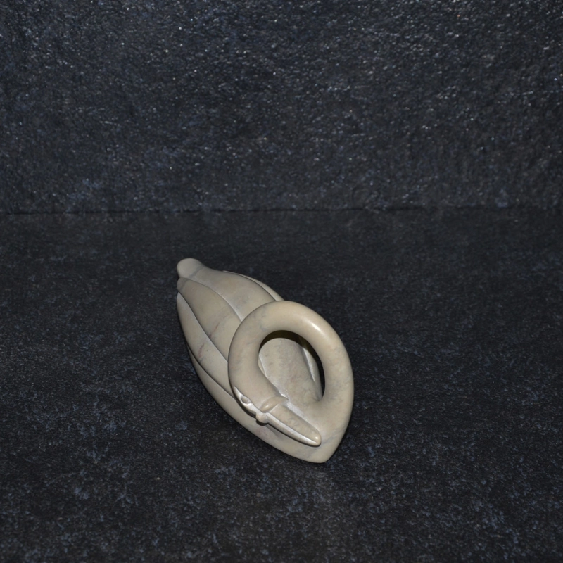 Cigno collo lungo