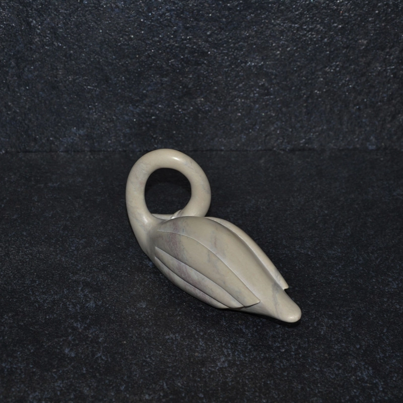 Cigno collo lungo
