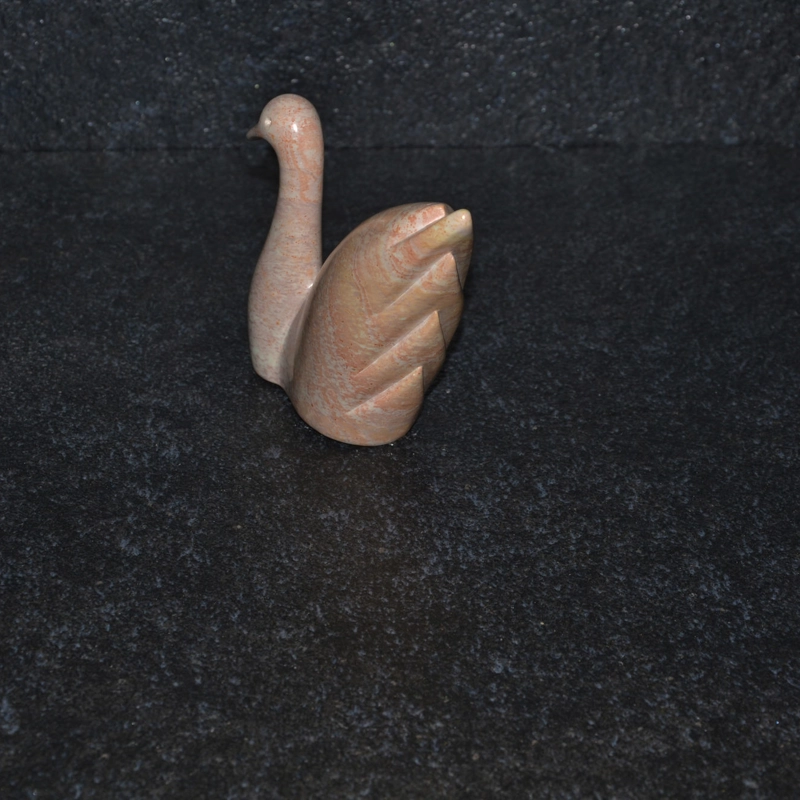 Cigno Mochama