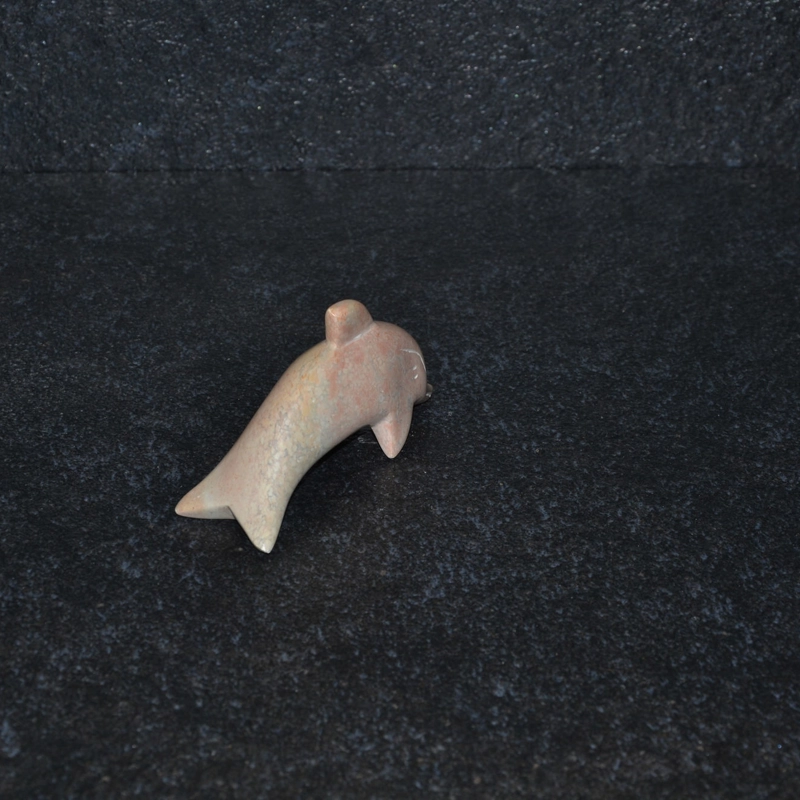 Delfino disteso