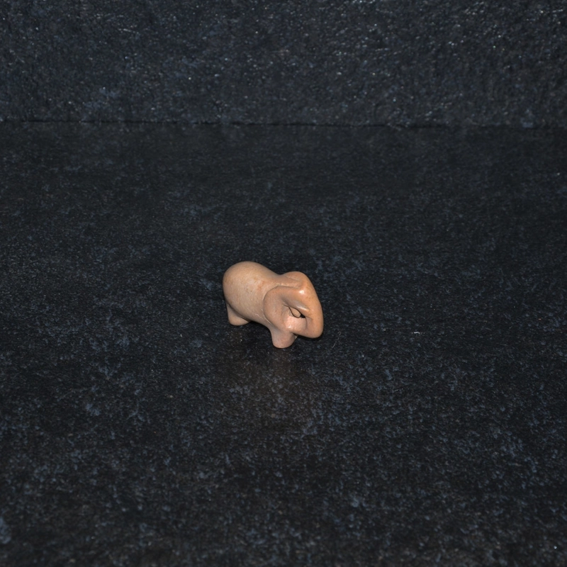 Elefante mini