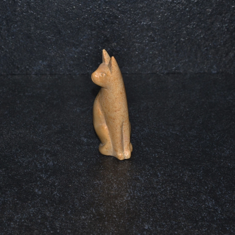 Gatto