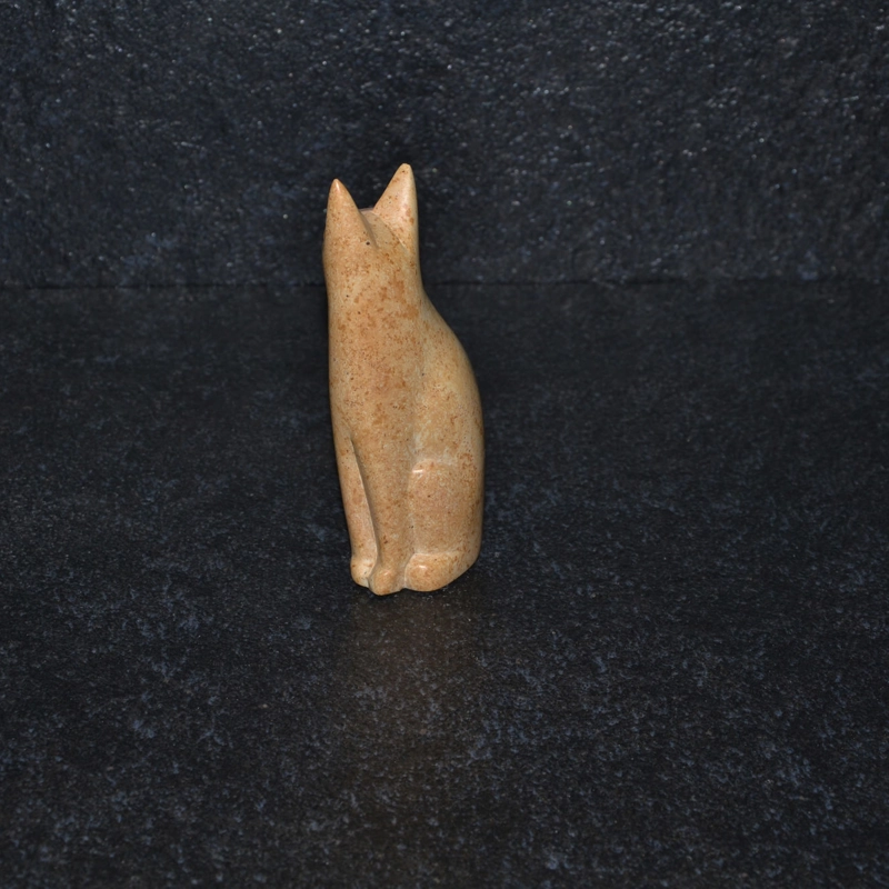 Gatto