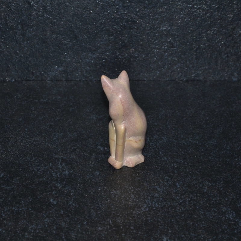 Gatto girato