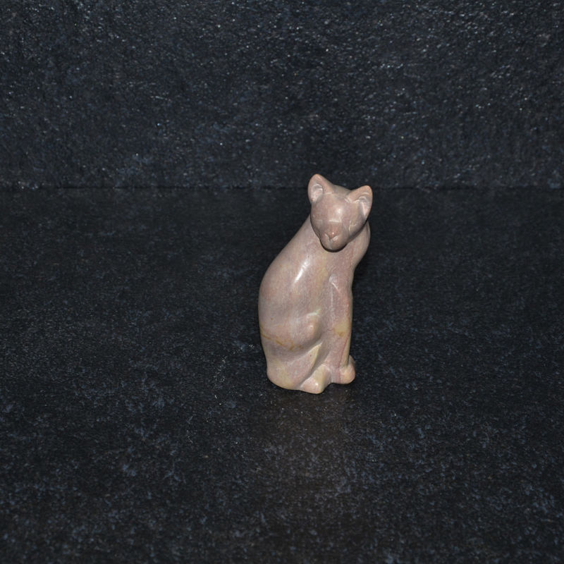 Gatto girato