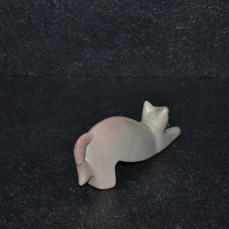 Gatto salto