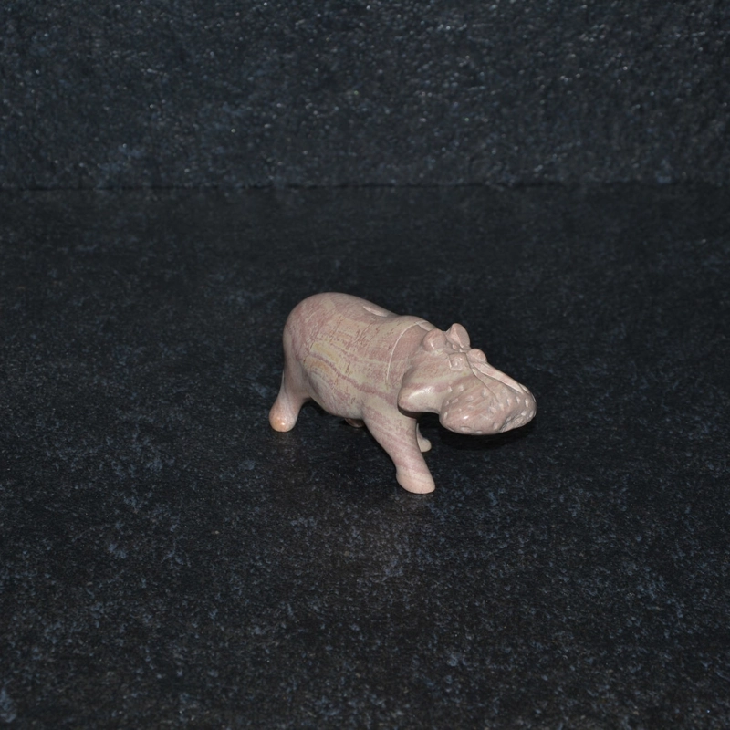 Ippopotamo