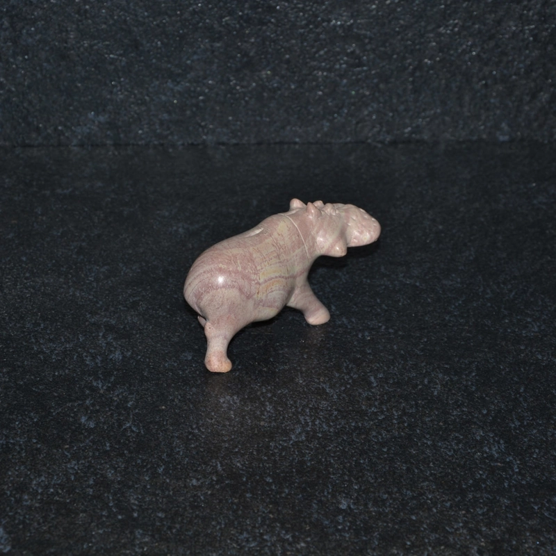 Ippopotamo