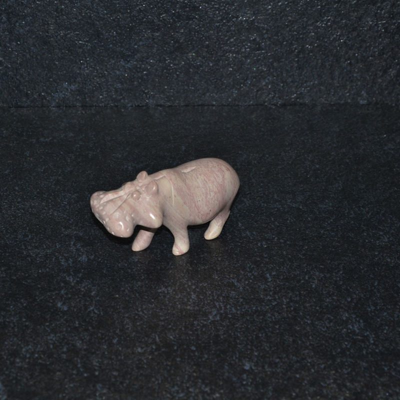 Ippopotamo