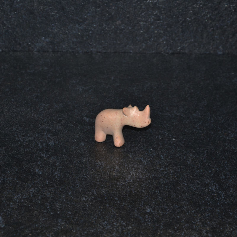 Rinoceronte mini