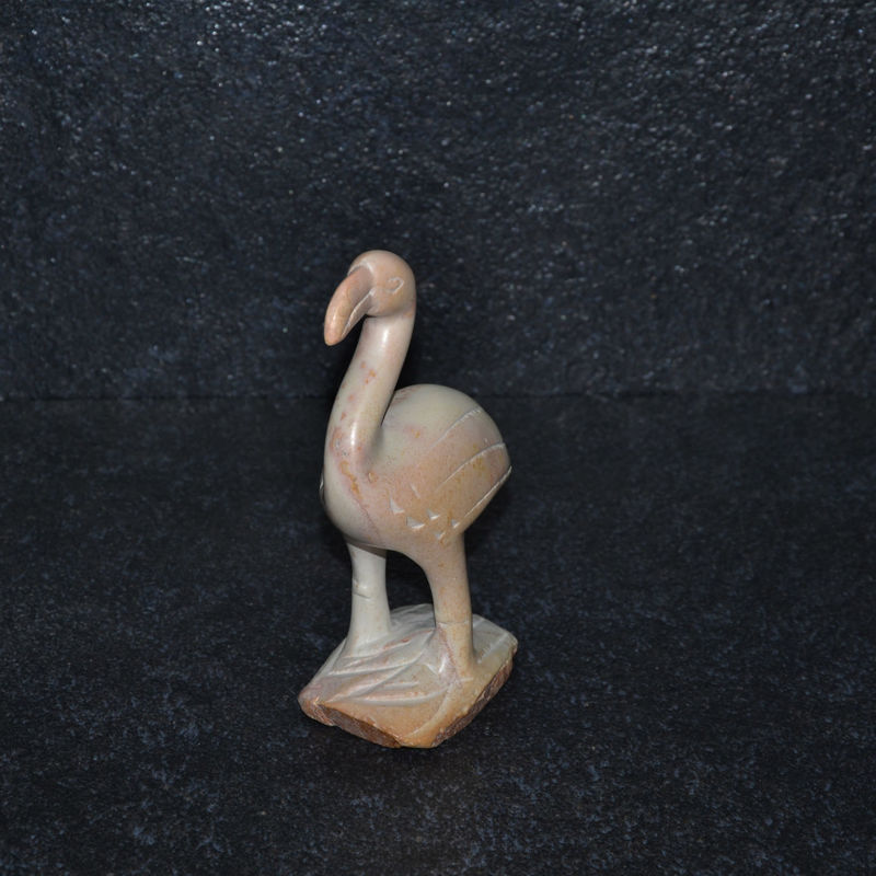 Uccello flamingo