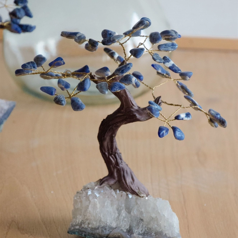 bonsai fatto a mano in Sodalite