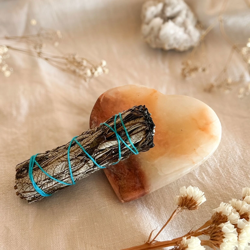 mazzetto di Salvia Blu