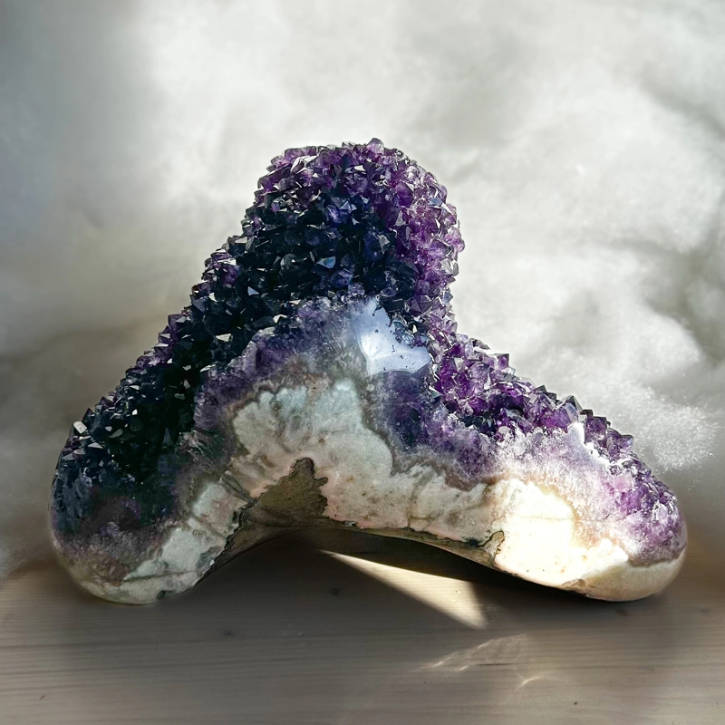 Ametista Pigna, Uruguay PRIMA SCELTA