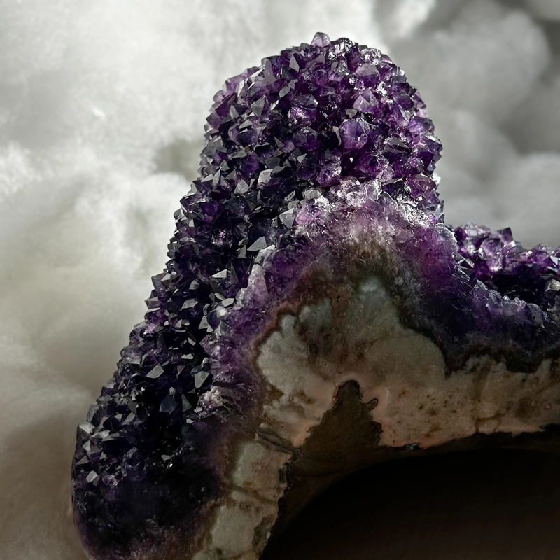 Ametista Pigna, Uruguay PRIMA SCELTA