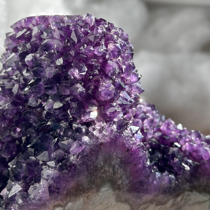 Ametista Pigna, Uruguay PRIMA SCELTA