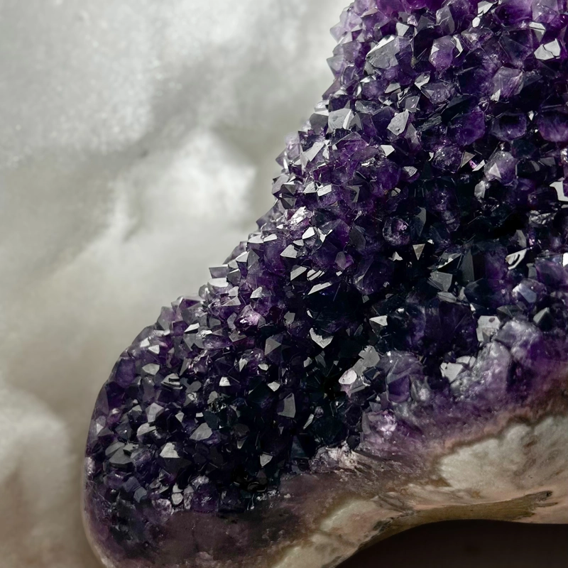 Ametista Pigna, Uruguay PRIMA SCELTA