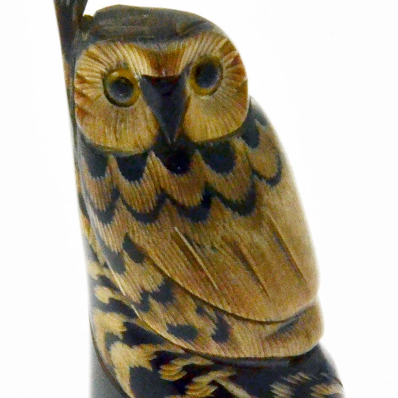 Civetta ramo corno (min.3pz)