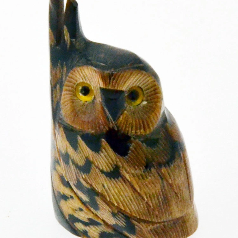 Civetta su ramo corno