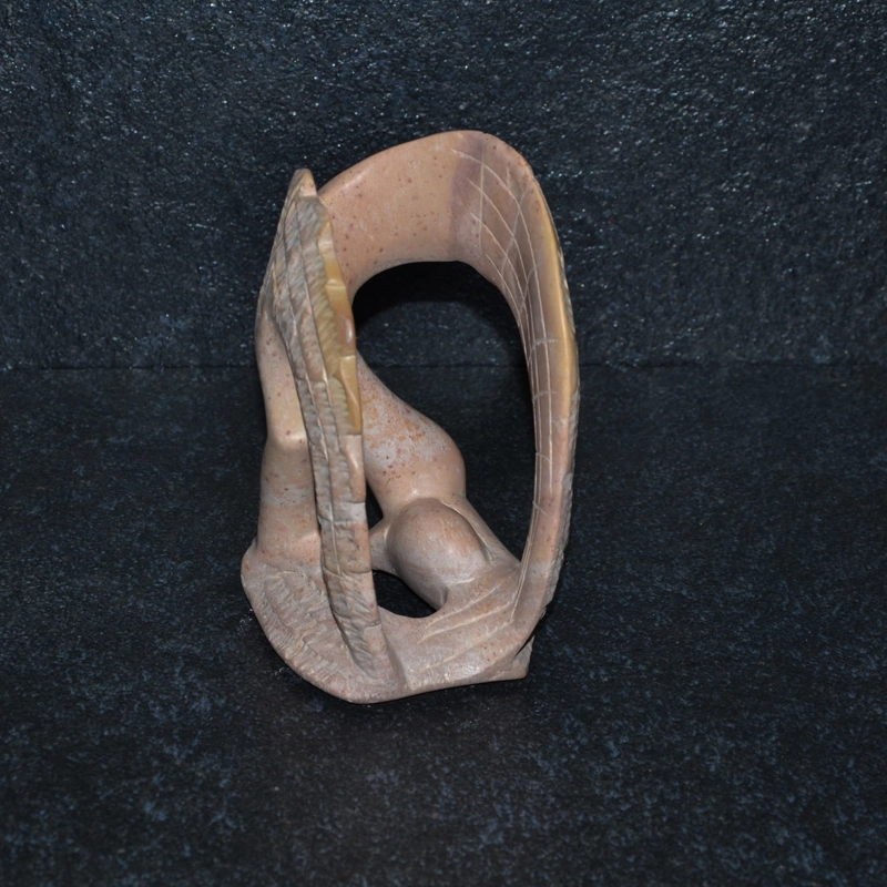 Fenicottero con uovo