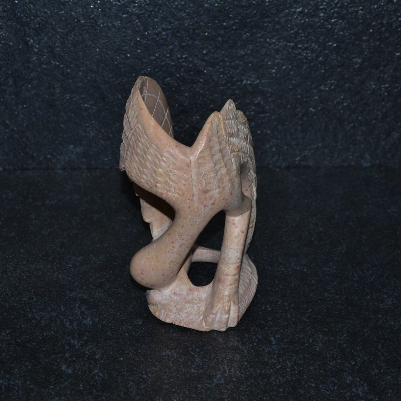 Fenicottero con uovo