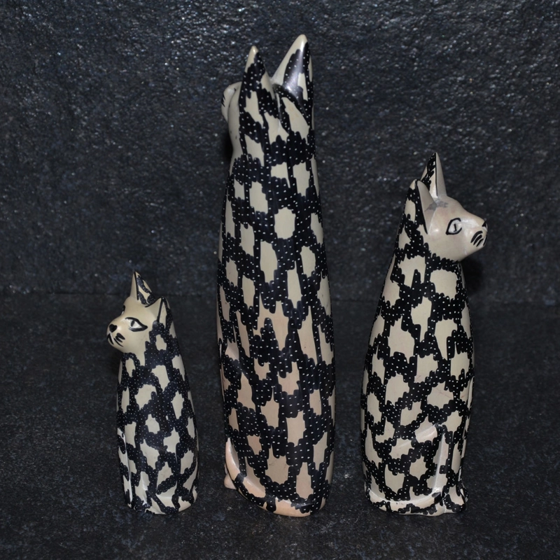 Gatto color bianco/nero