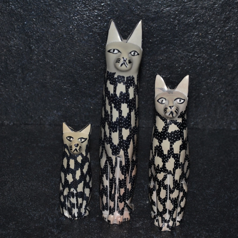 Gatto color bianco/nero