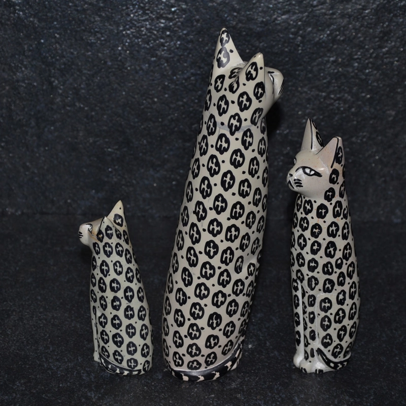 Gatto color fiore bianco/nero