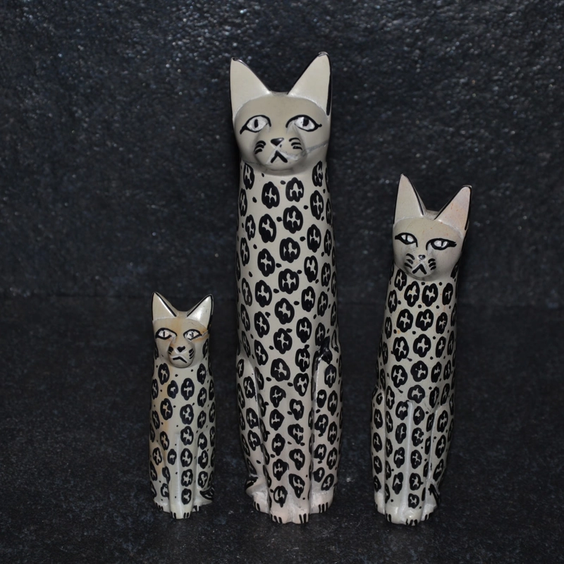 Gatto color fiore bianco/nero