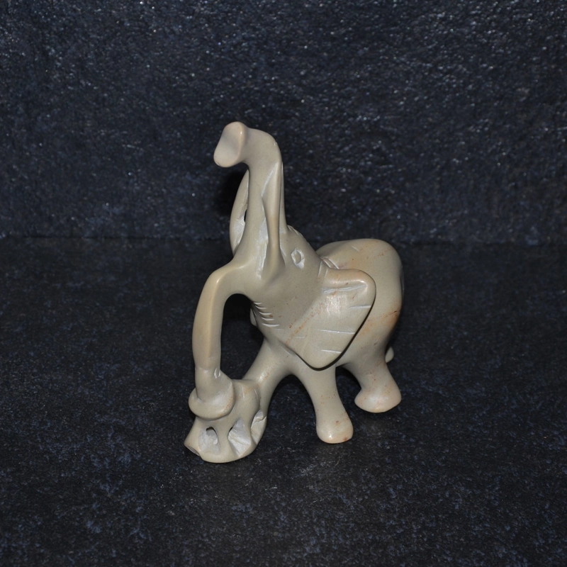 Mamma elefante lucida