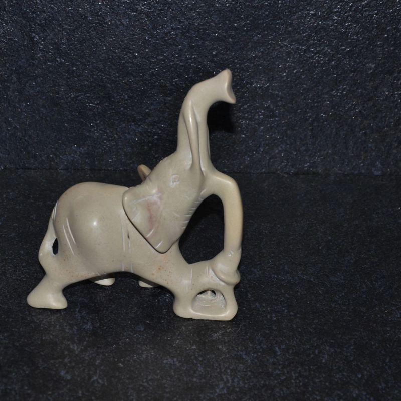 Mamma elefante lucida