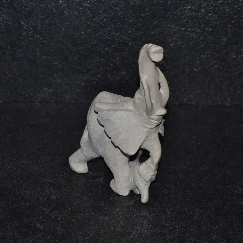 Mamma elefante ruvida