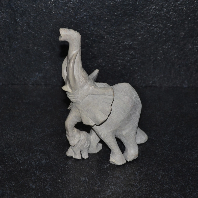 Mamma elefante ruvida