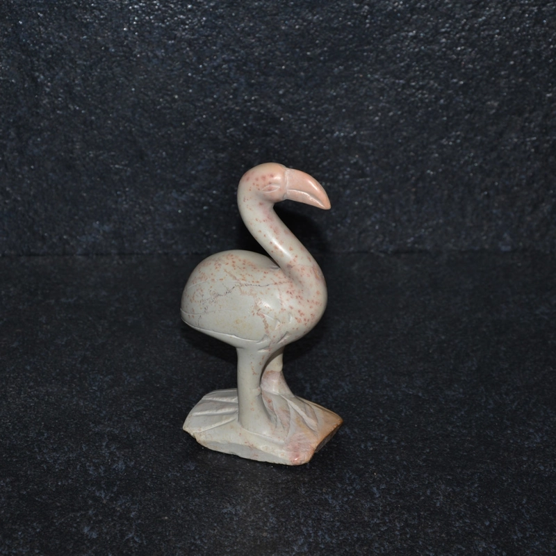 Uccello flamingo