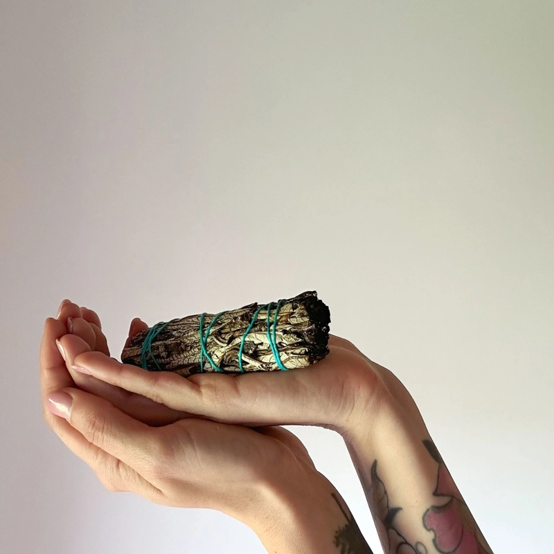 mazzetto di Salvia Blu