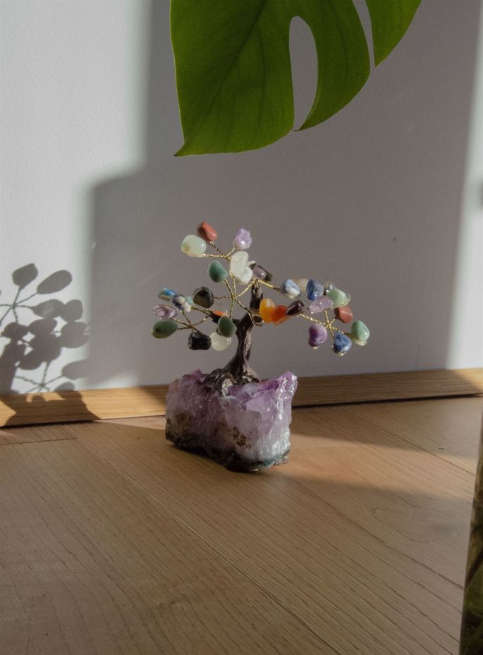 bonsai sette chakra