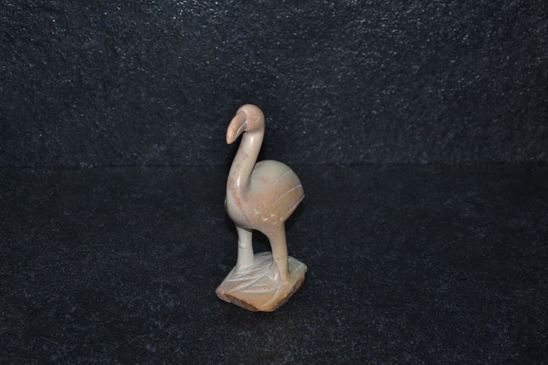 Uccello flamingo