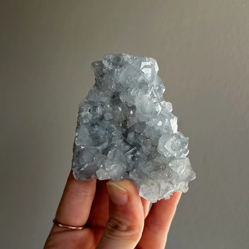 Geodi di Celestina