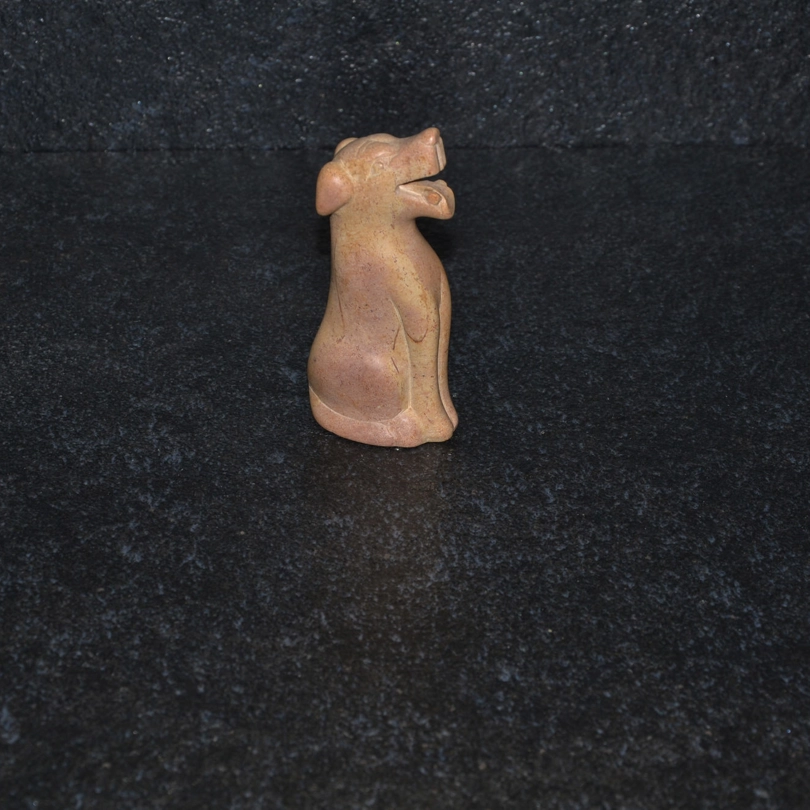 Cane simpatico