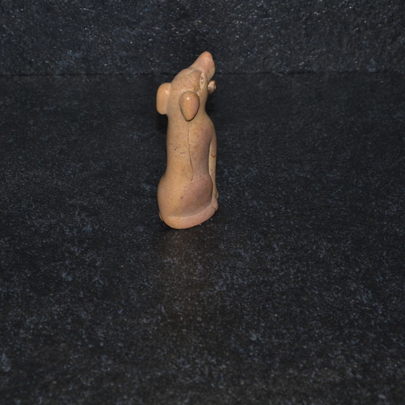 Cane simpatico