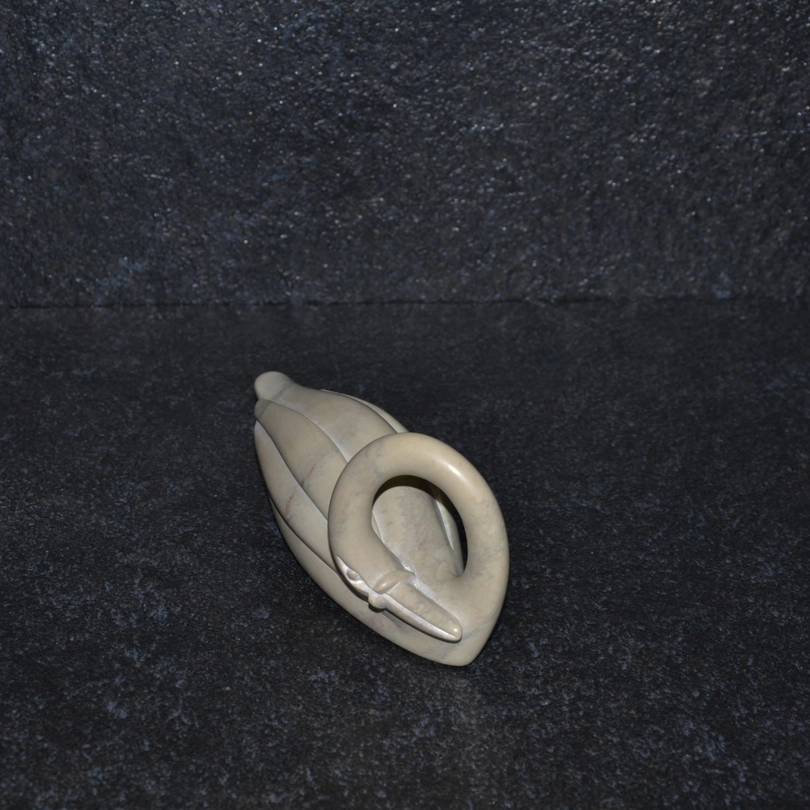 Cigno collo lungo
