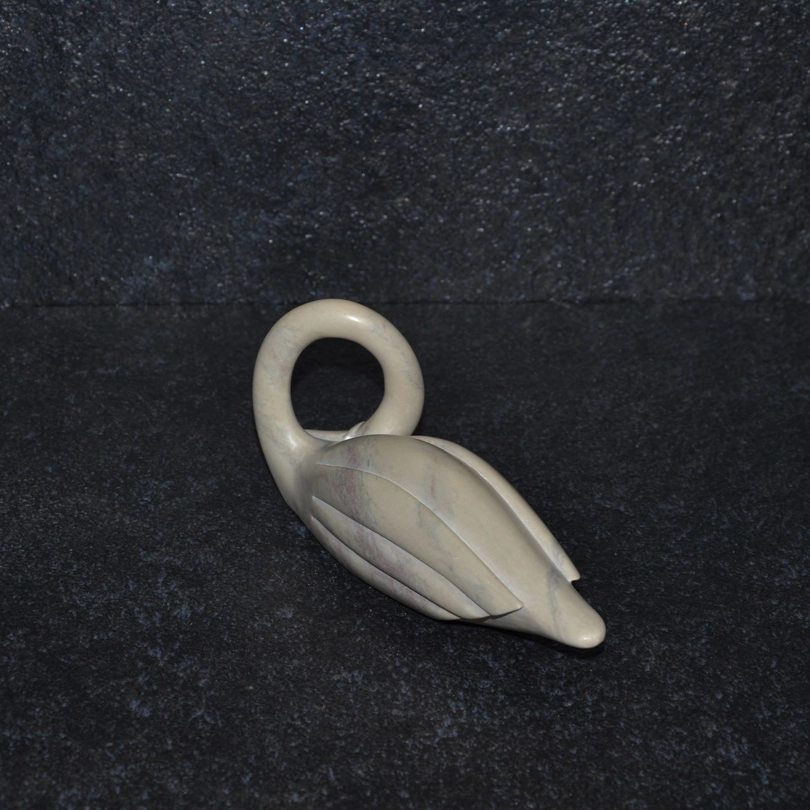 Cigno collo lungo