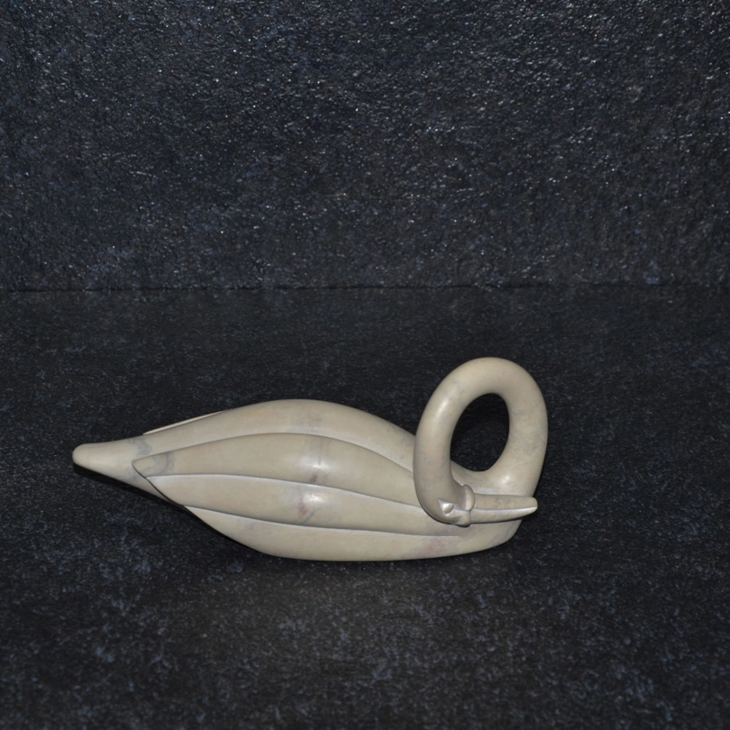 Cigno collo lungo