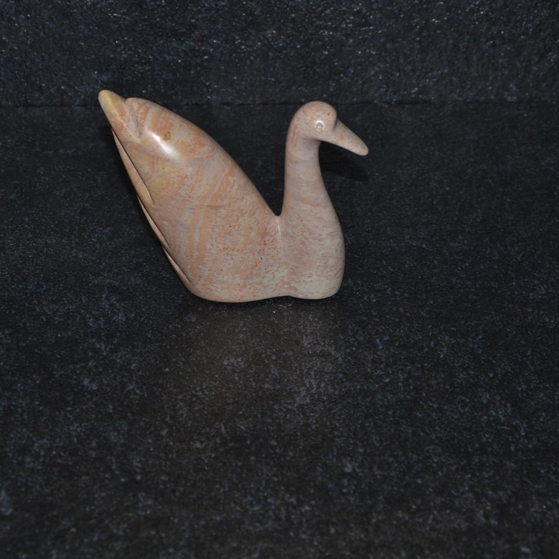 Cigno Mochama