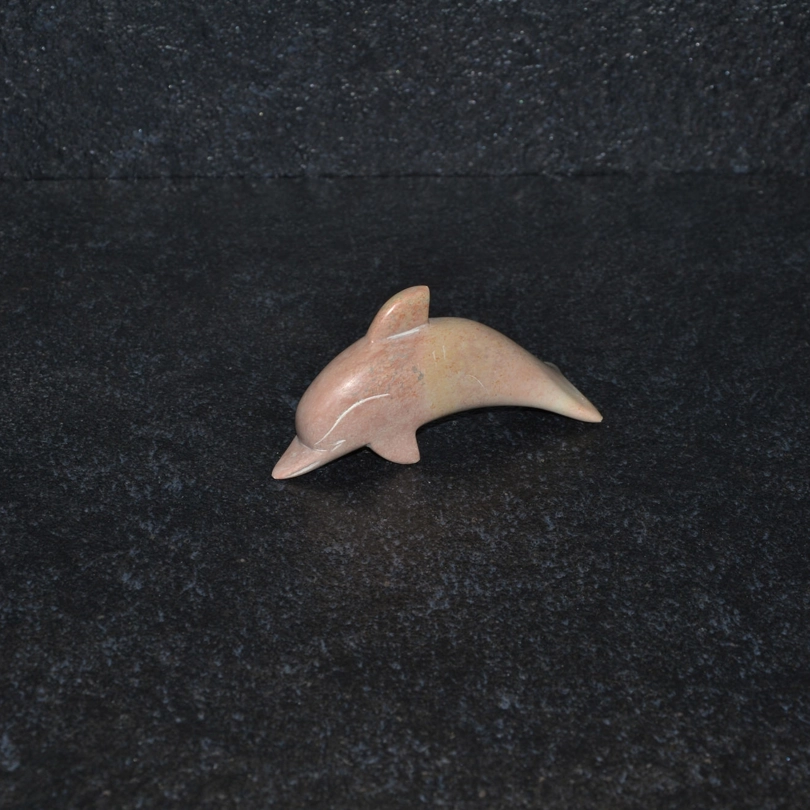 Delfino disteso