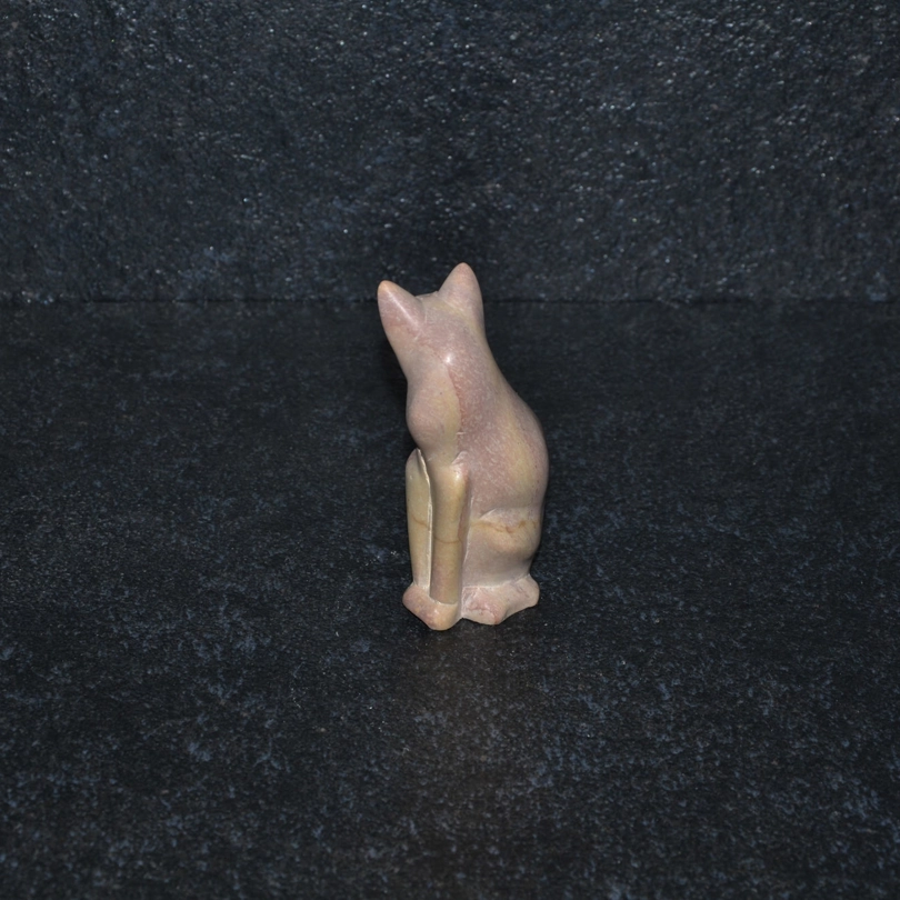 Gatto girato