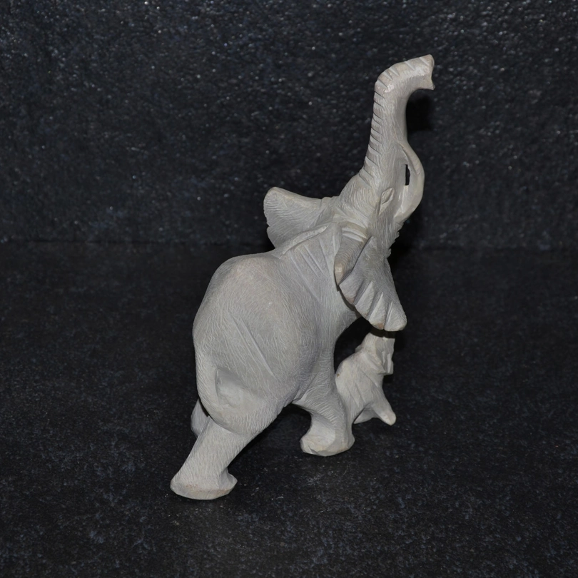 Mamma elefante ruvida