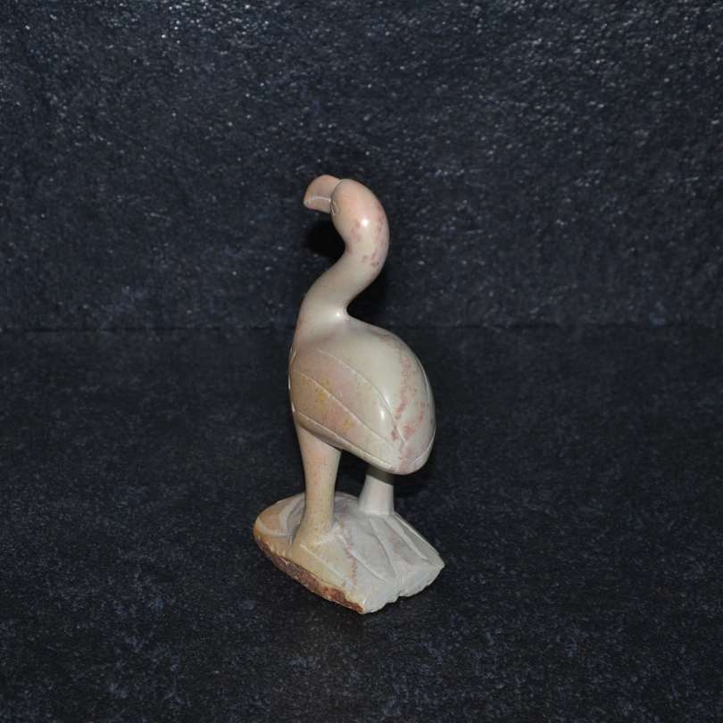 Uccello flamingo